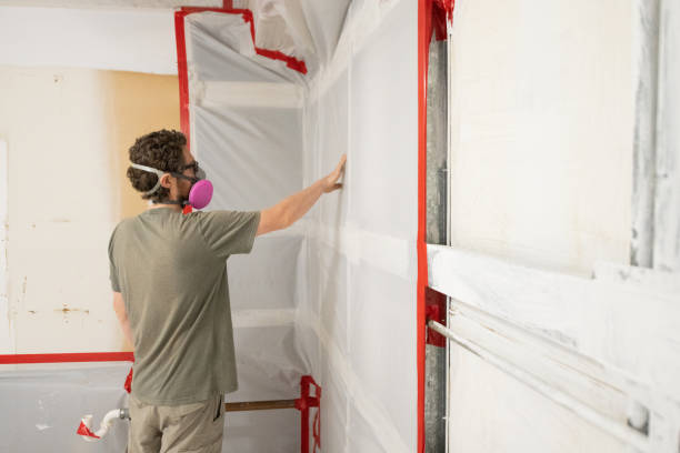 Best Mold Remediation for Healthcare Facilities  in Chicopee, MA