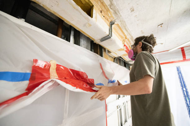 Forensic Mold Investigation in Chicopee, MA