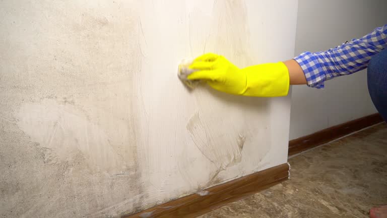 Dehumidification Services in Chicopee, MA